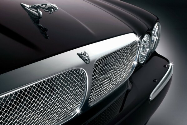 Radiator grille with jaguar logo