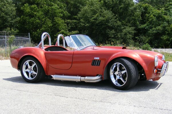 Red beautiful sports cobra