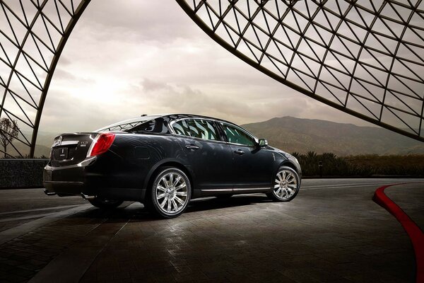 A black car against a gray sky