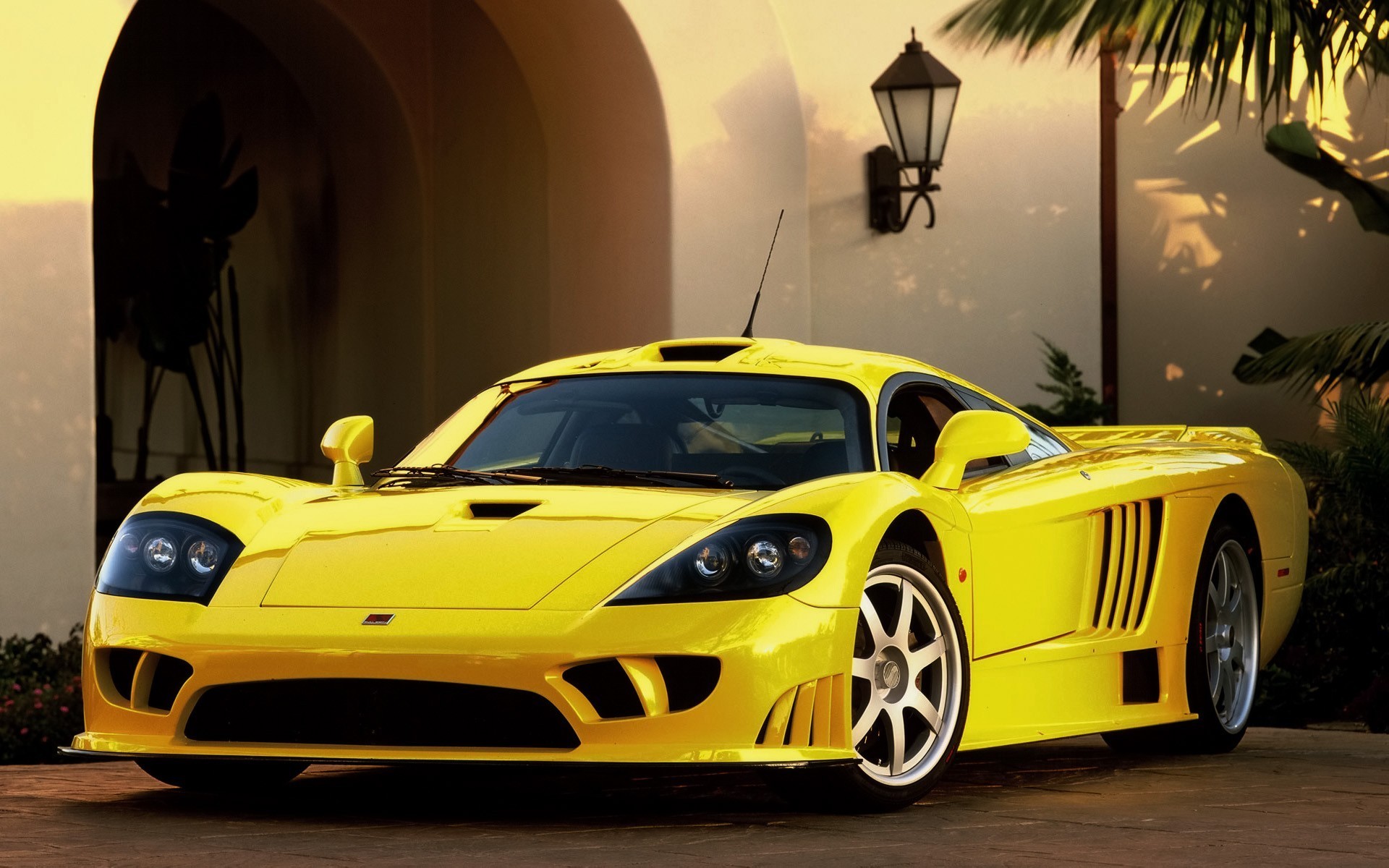 aleen yellow sport