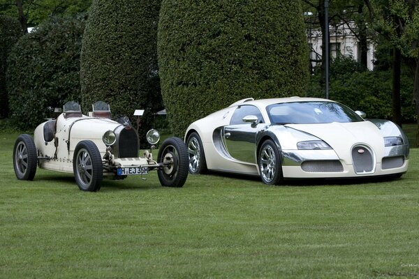 Vintage and modern cars are standing on the green grass