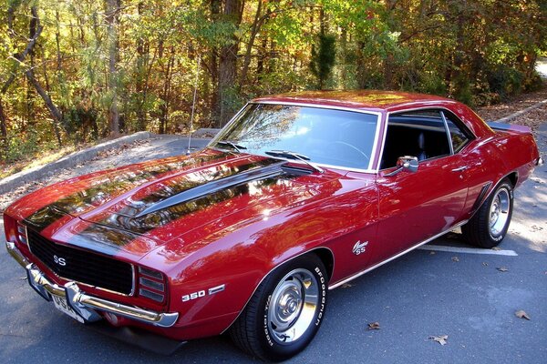 Camaro rosso. Parcheggio vicino alla foresta