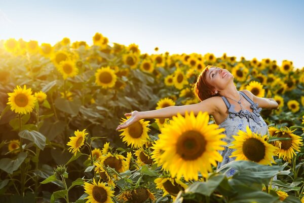 Ein Moment des Glücks im Meer von Sonnenblumen