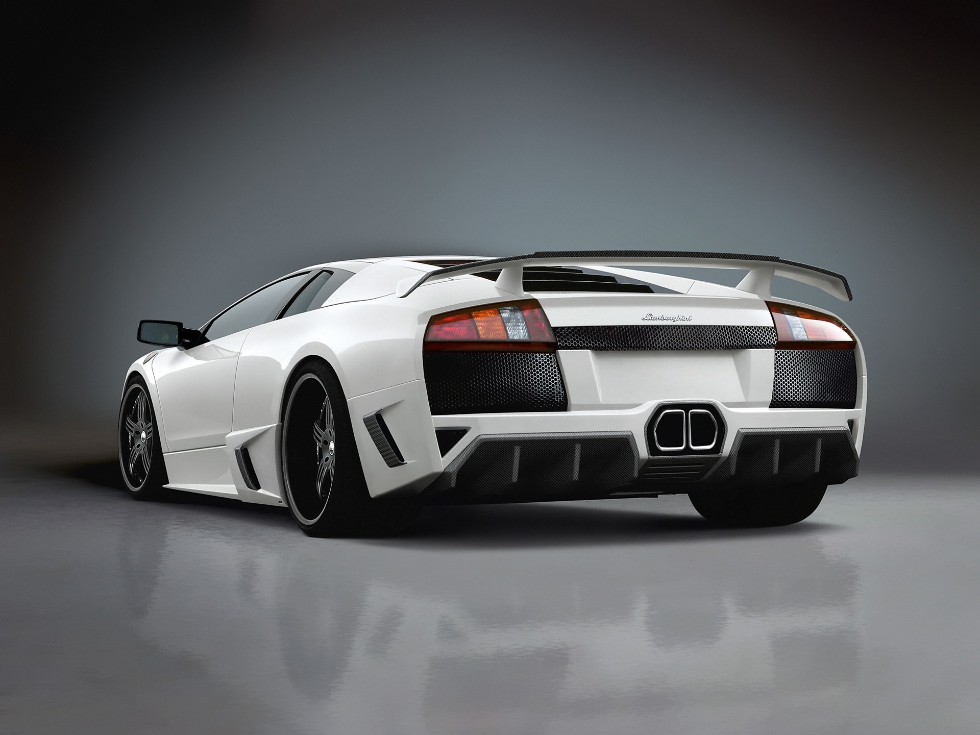 lamborghini bianco auto