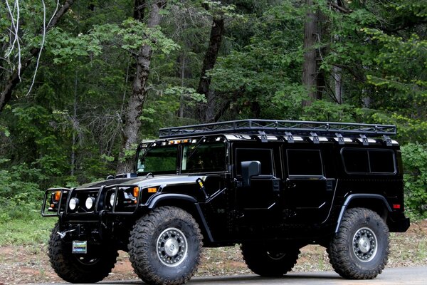 Hummer negro en el fondo del bosque