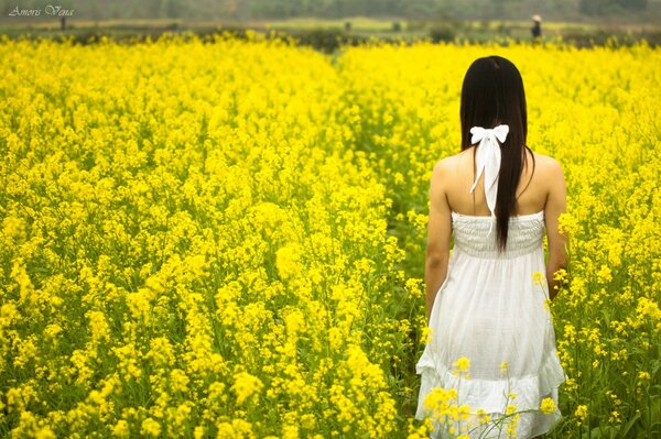 Chica morena de espaldas en vestido blanco en un campo de flores amarillas