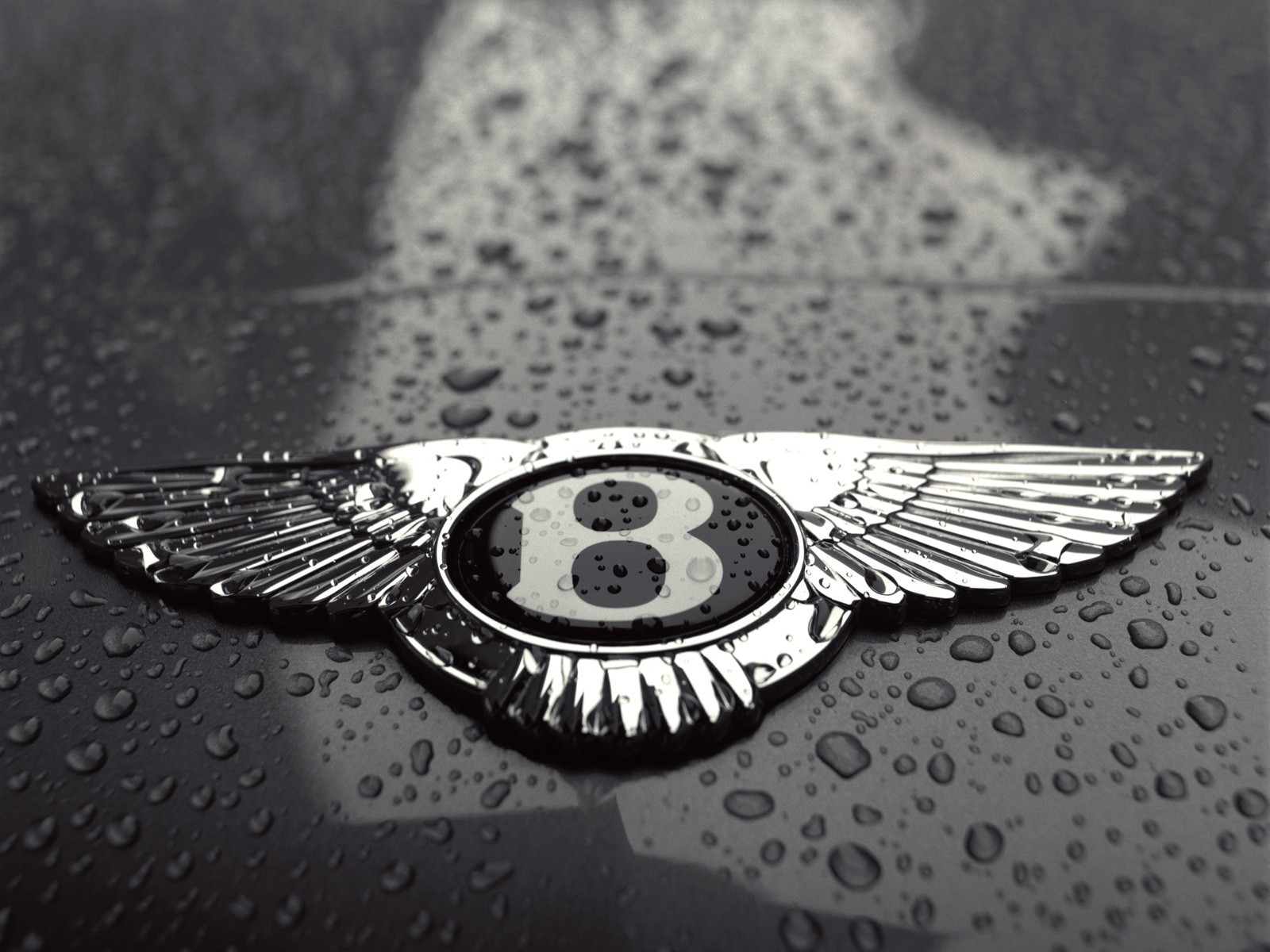 bentley logotipo gotas blanco y negro