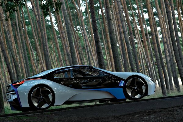 Cool BMW a l air bien dans les bois