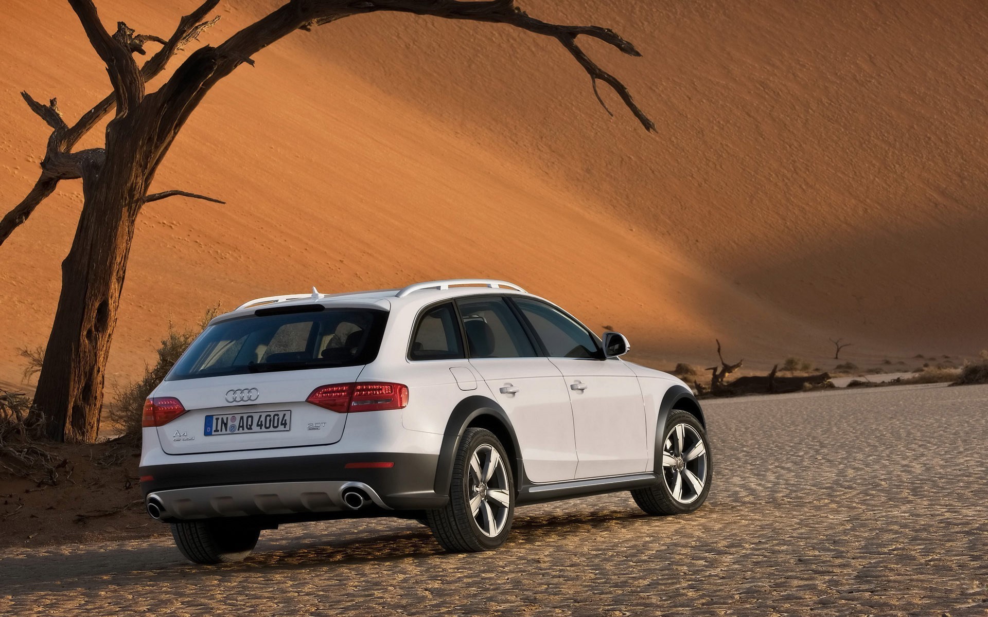 audi allroad biały pustynia