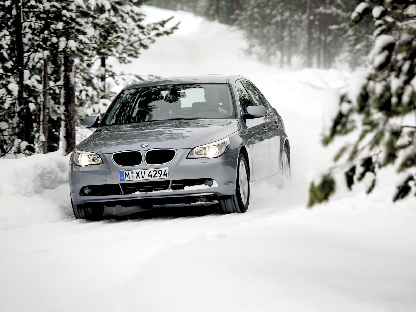 bmw hiver forêt arbres