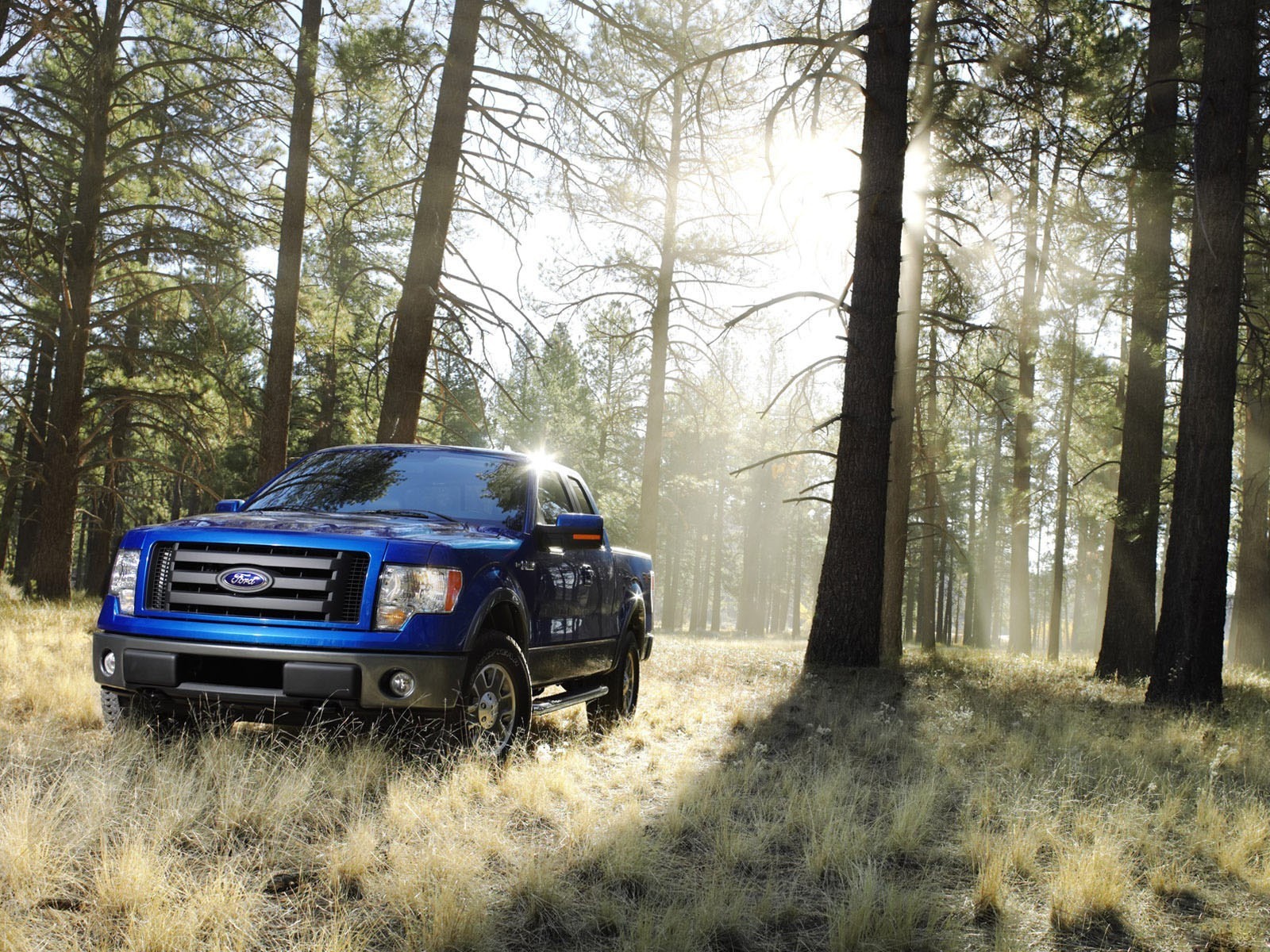 ford camioneta bosque sol