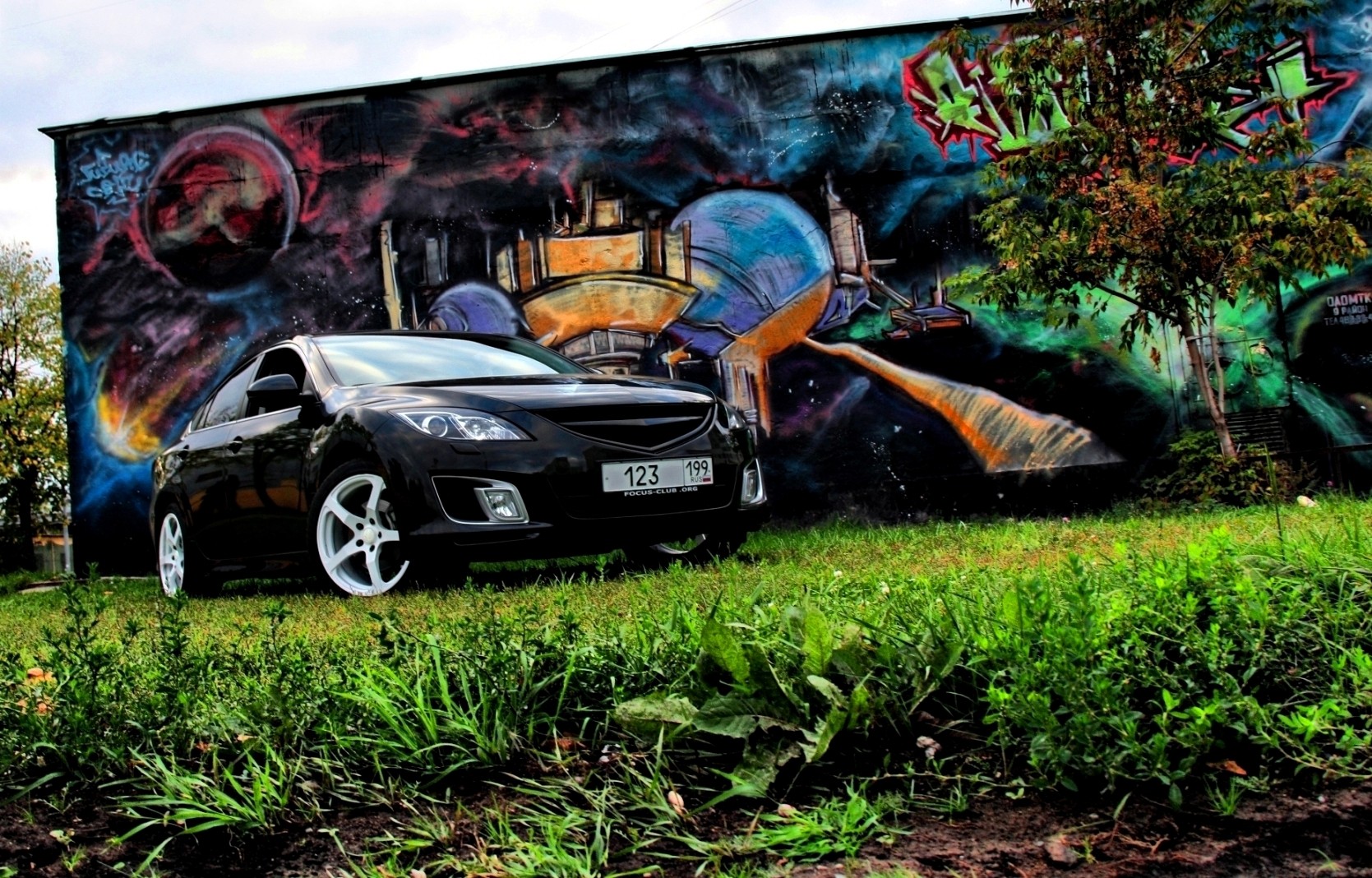 mazda 6 erba graffiti legno