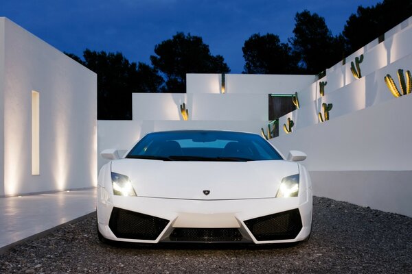 In front of a white lamborghini sports car