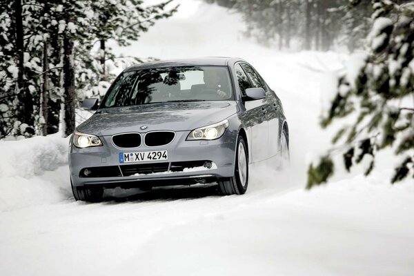 Zdjęcie BMW w zimowym lesie