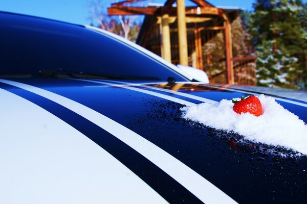 On the hood of a brand new car, the girls settled down to celebrate their birthday