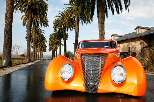 Naranja afinado Ford bajo las palmeras