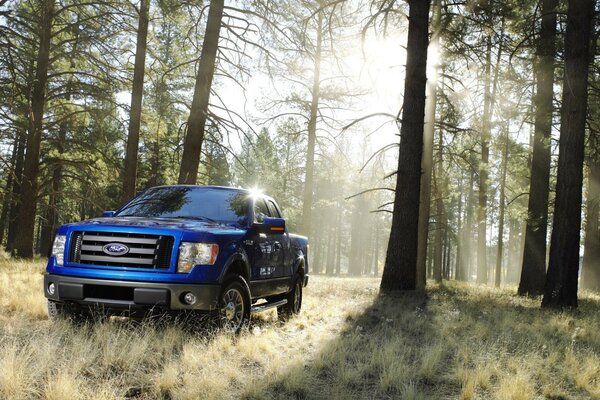 Blue Ford pickup truck in the sunny forest