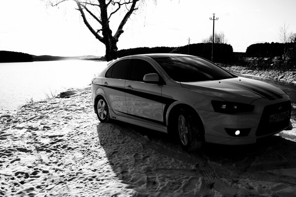 Un albero sulla spiaggia aveva un auto collegata al furto