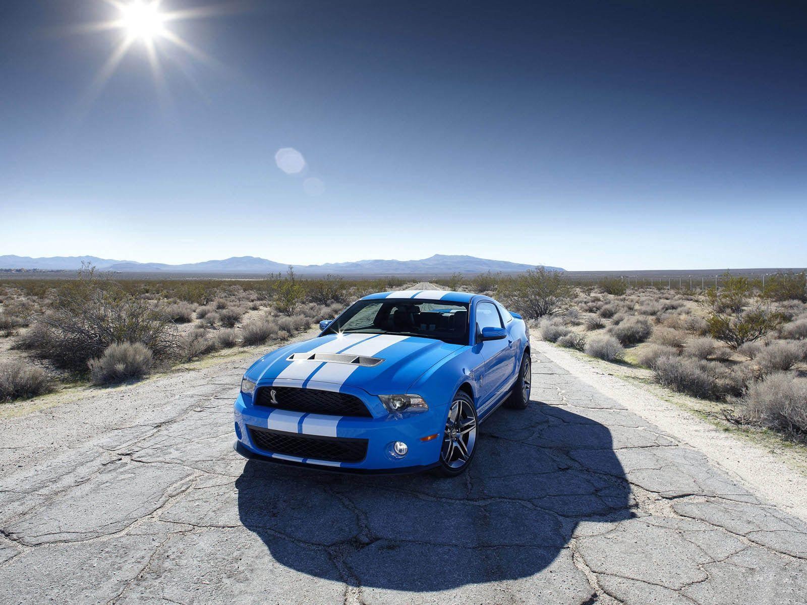 ford shelby gt 500 blau