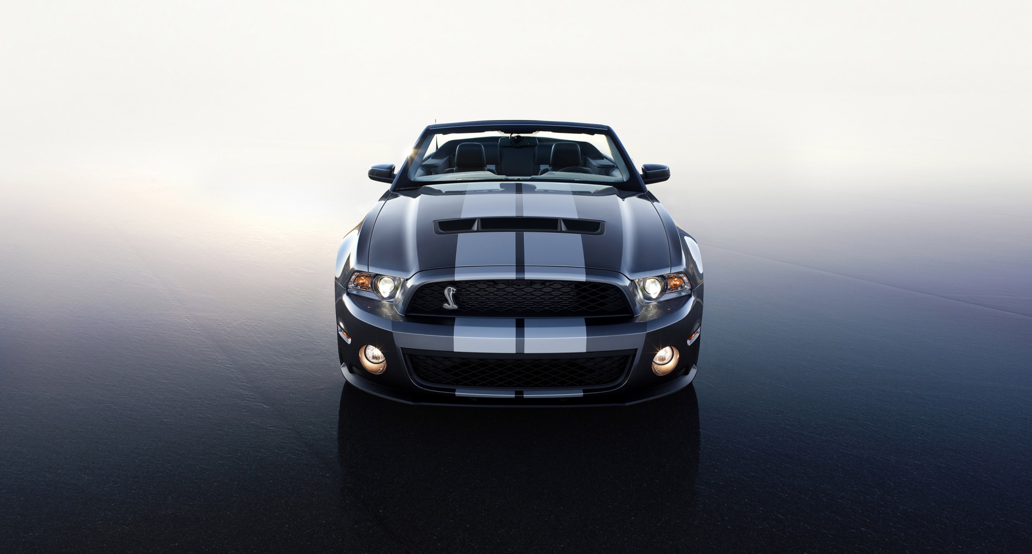 ford shelby gt 500 2010