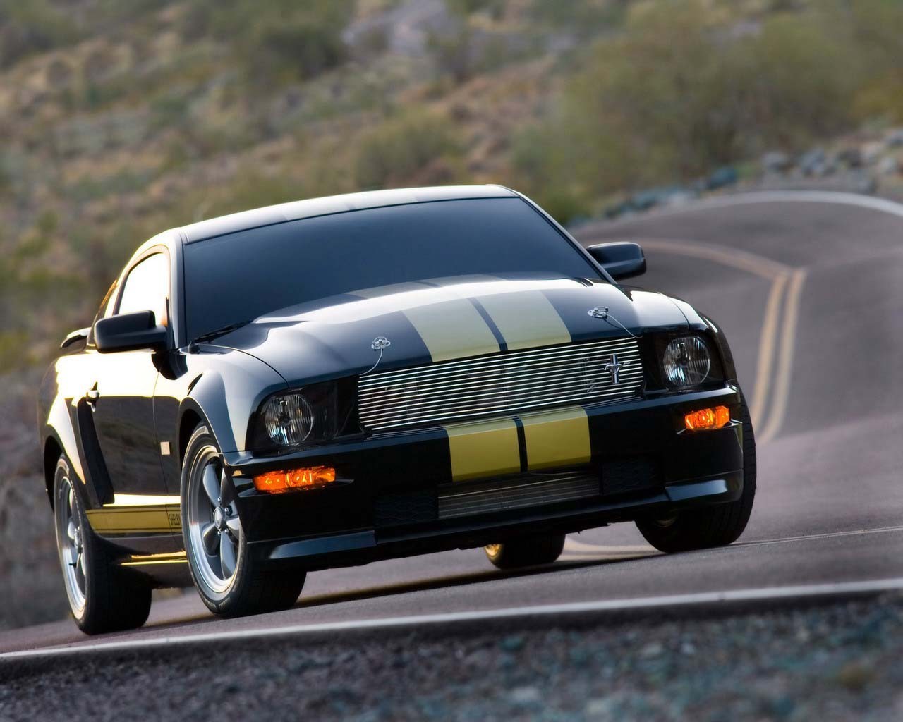 auto mustang droga