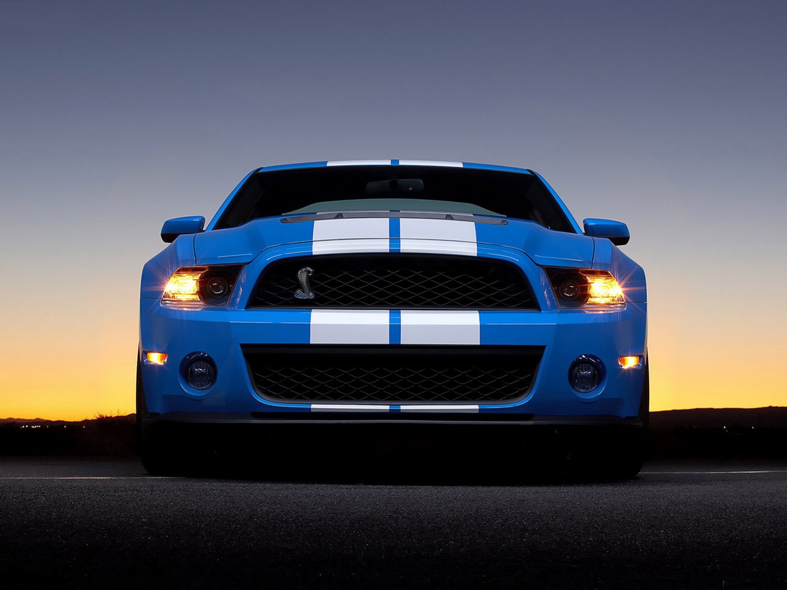 ford shelby gt 500