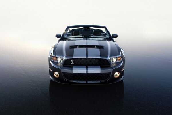 Nur ein Ford Shelby dt 500 und sonst nichts