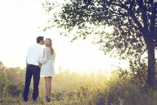 Lovers evening walk among the trees