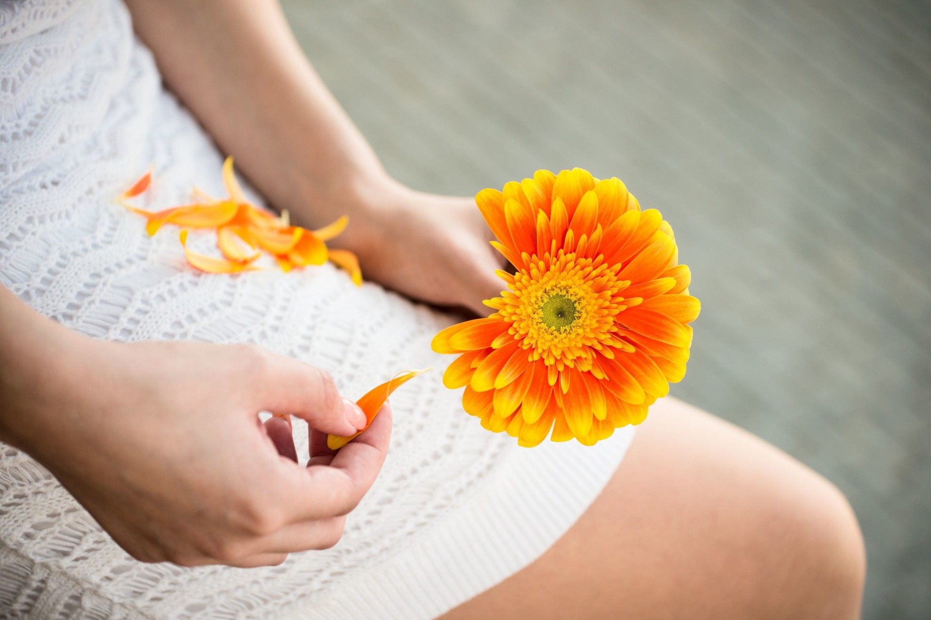 pantalla ancha flor chica estado de ánimo fondo flores papel pintado vestir desenfoque manos pantalla completa pétalos naranja