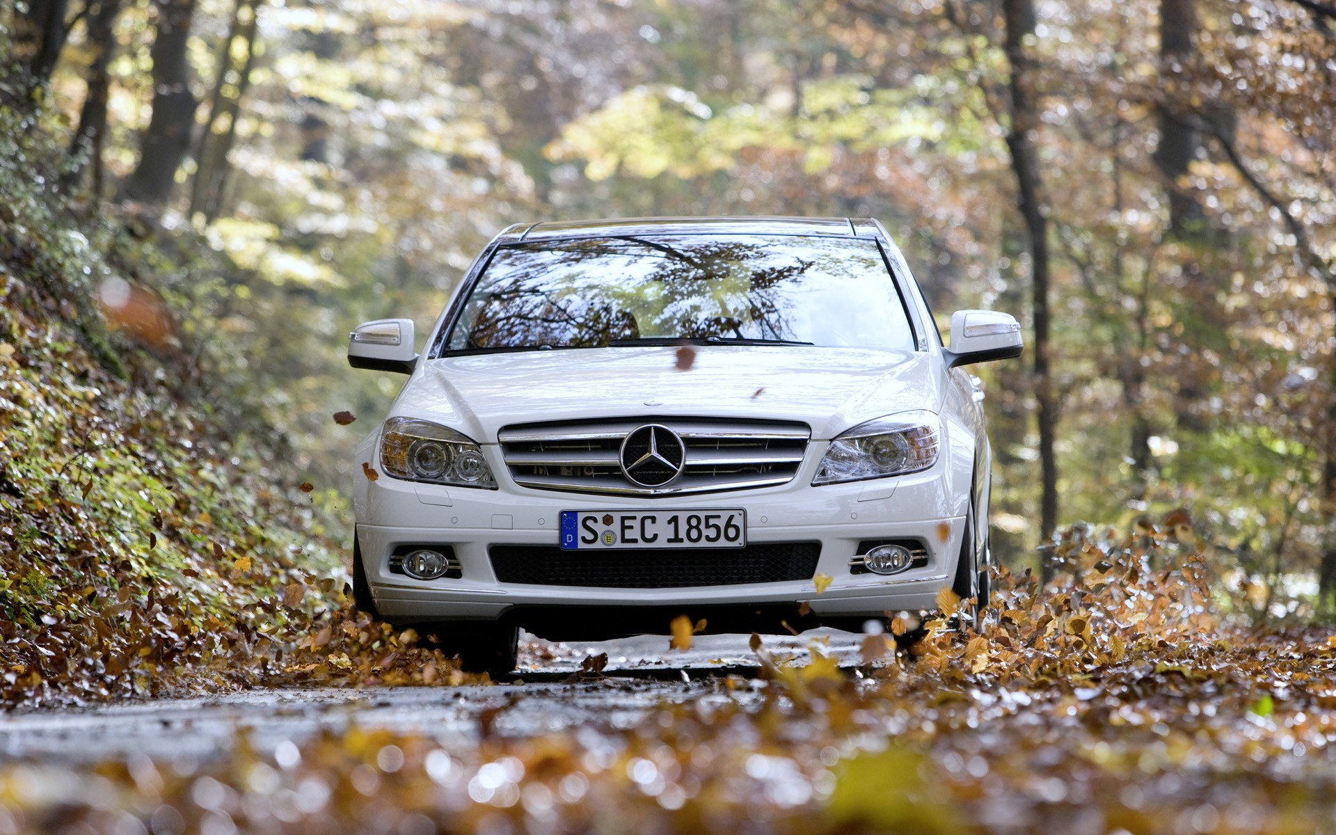 mercedes-benz c350 droga liście