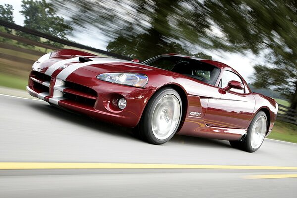 Dodge viper rides on the road at high speed