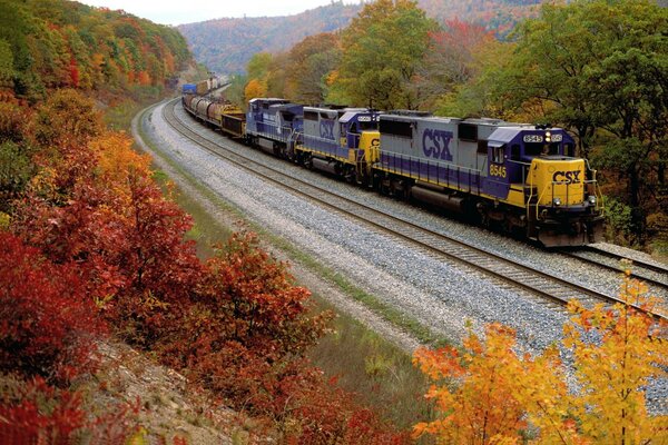 Train on the background of autumn landscape