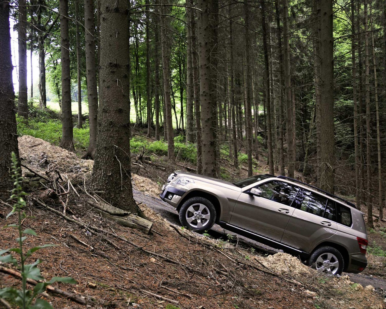 auto suv forêt arbres