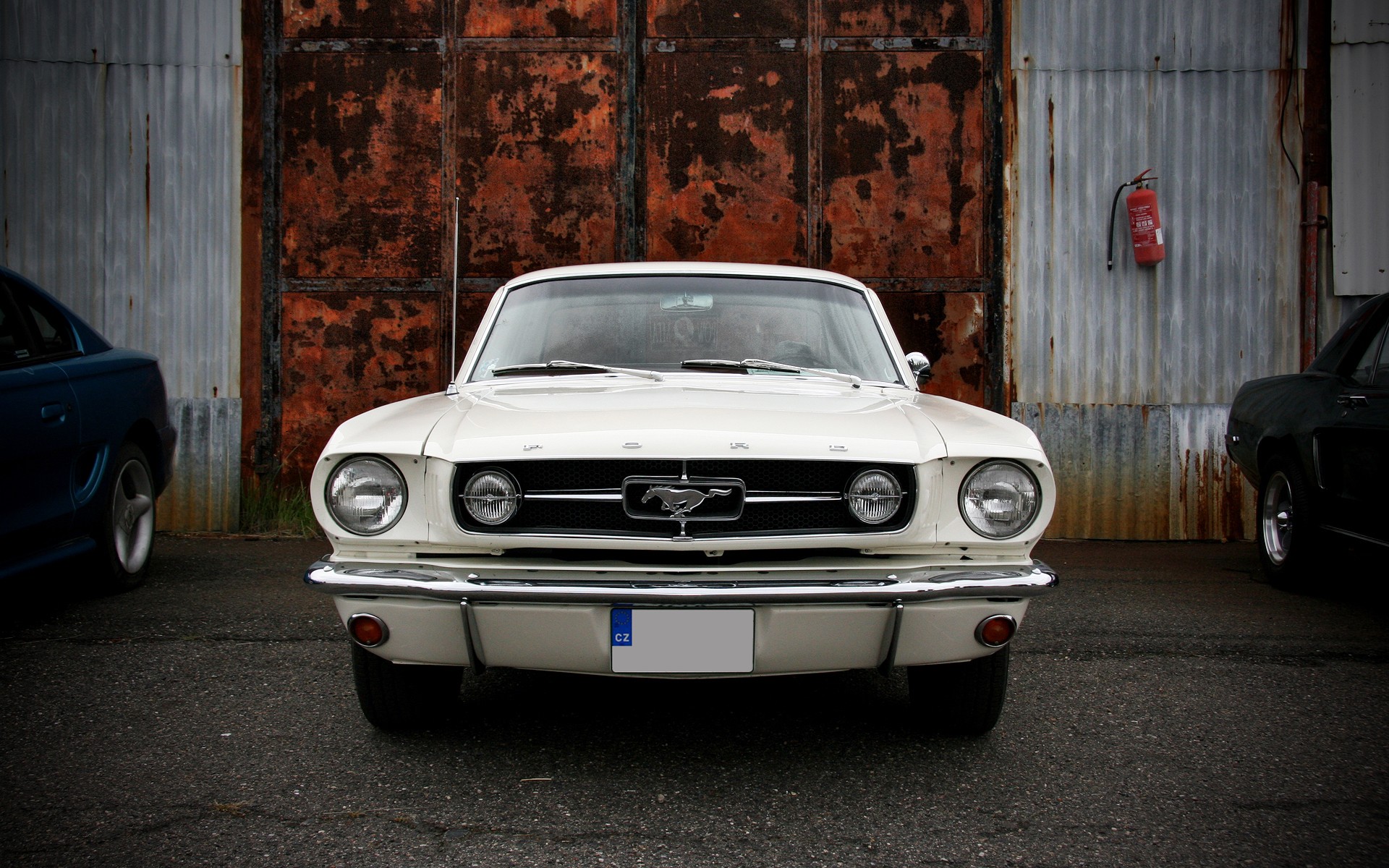 mustang tor weiß