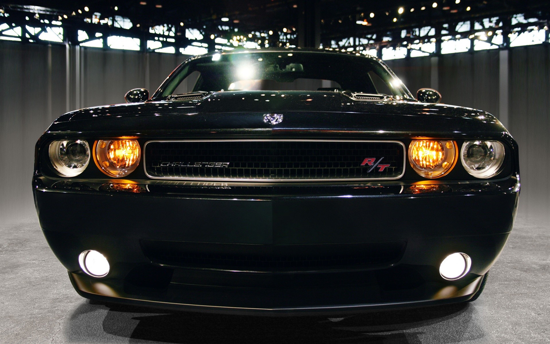 dodge challenger rt black shine garage