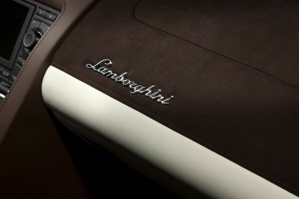 Leather panel of the Lamborghini interior