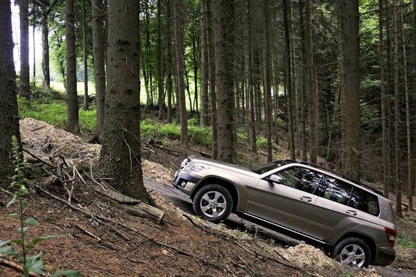 Fuerte SUV en el bosque entre los árboles