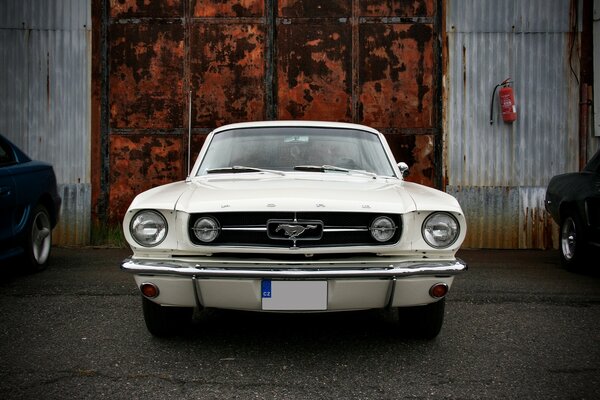 Un Mustang blanco contra una puerta oxidada