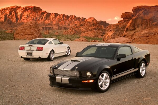 Shelby Mustang noir et blanc sur fond de roches