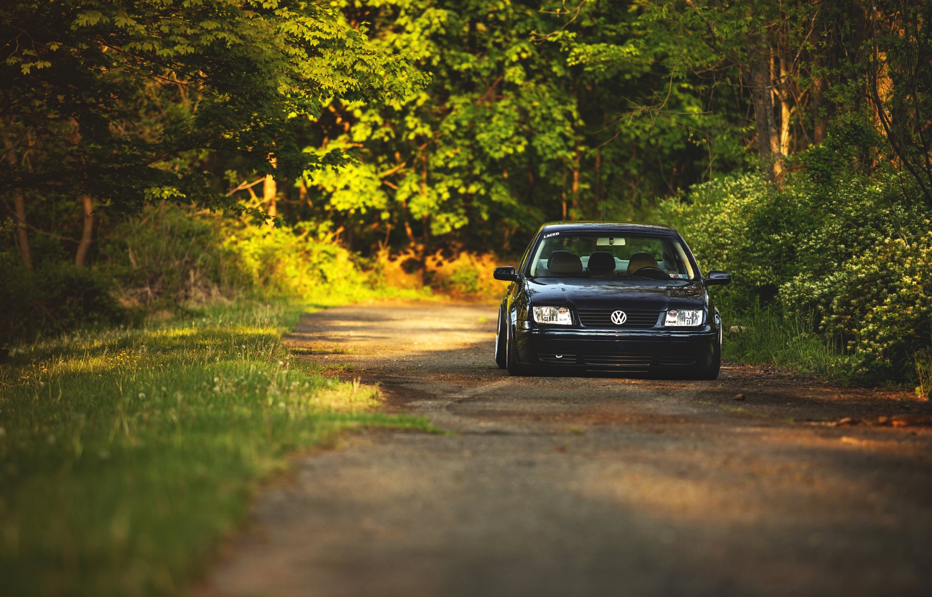 volkswagen jetta mk4 red volkswagen front forest alley