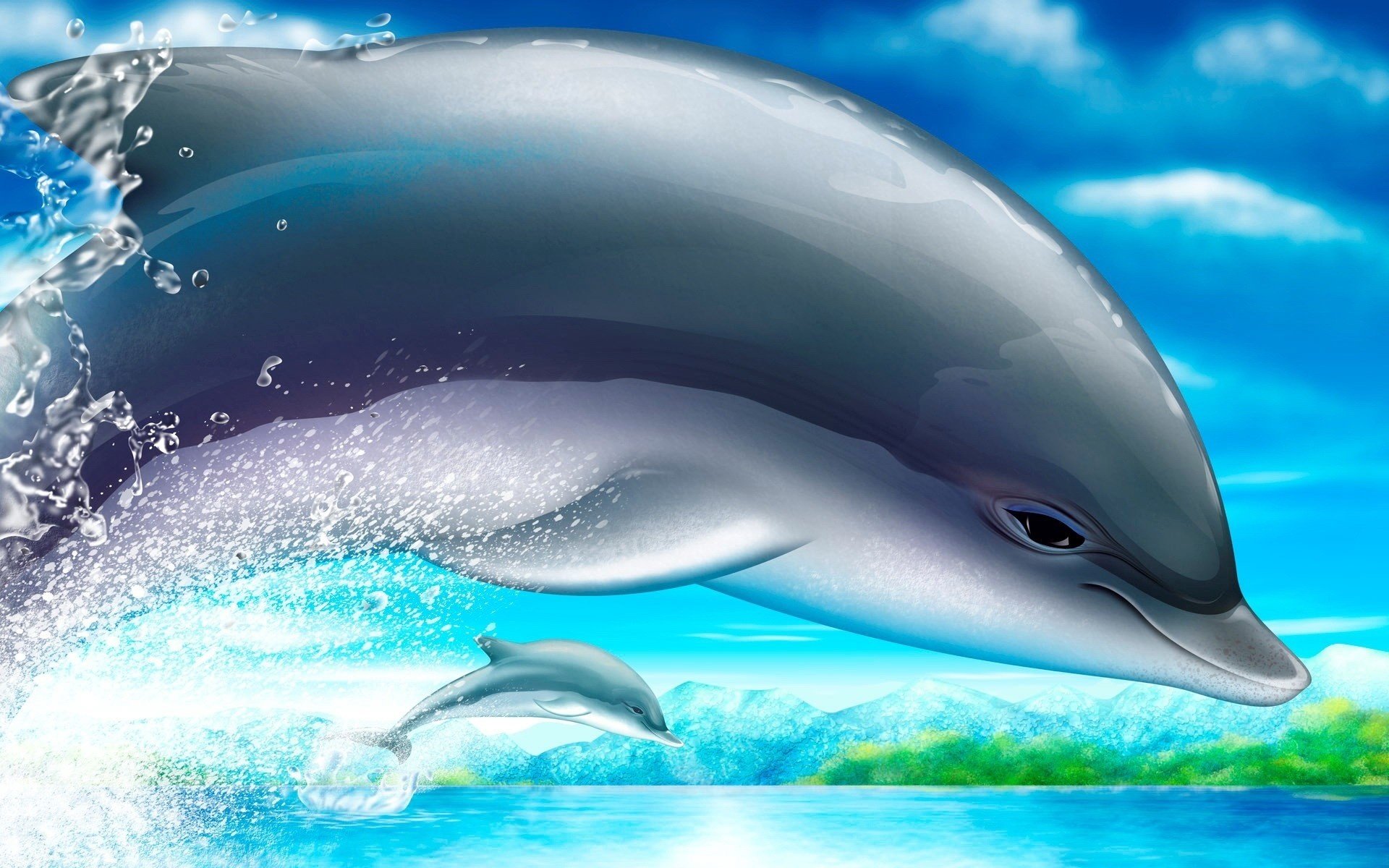 delfino mare disegno natura uccelli acquatici disegni anime