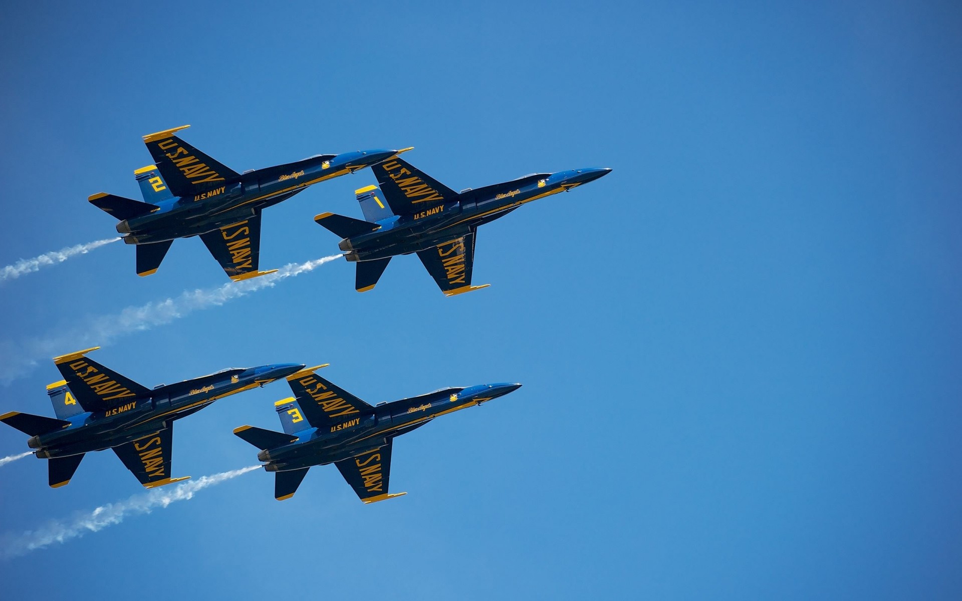 avispón estados unidos volar luchador fotografía nikon aviones