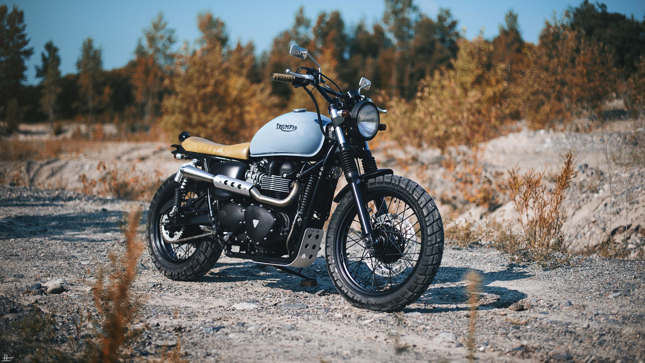 triumph bonneville räder rückansicht lichter straße bäume schatten