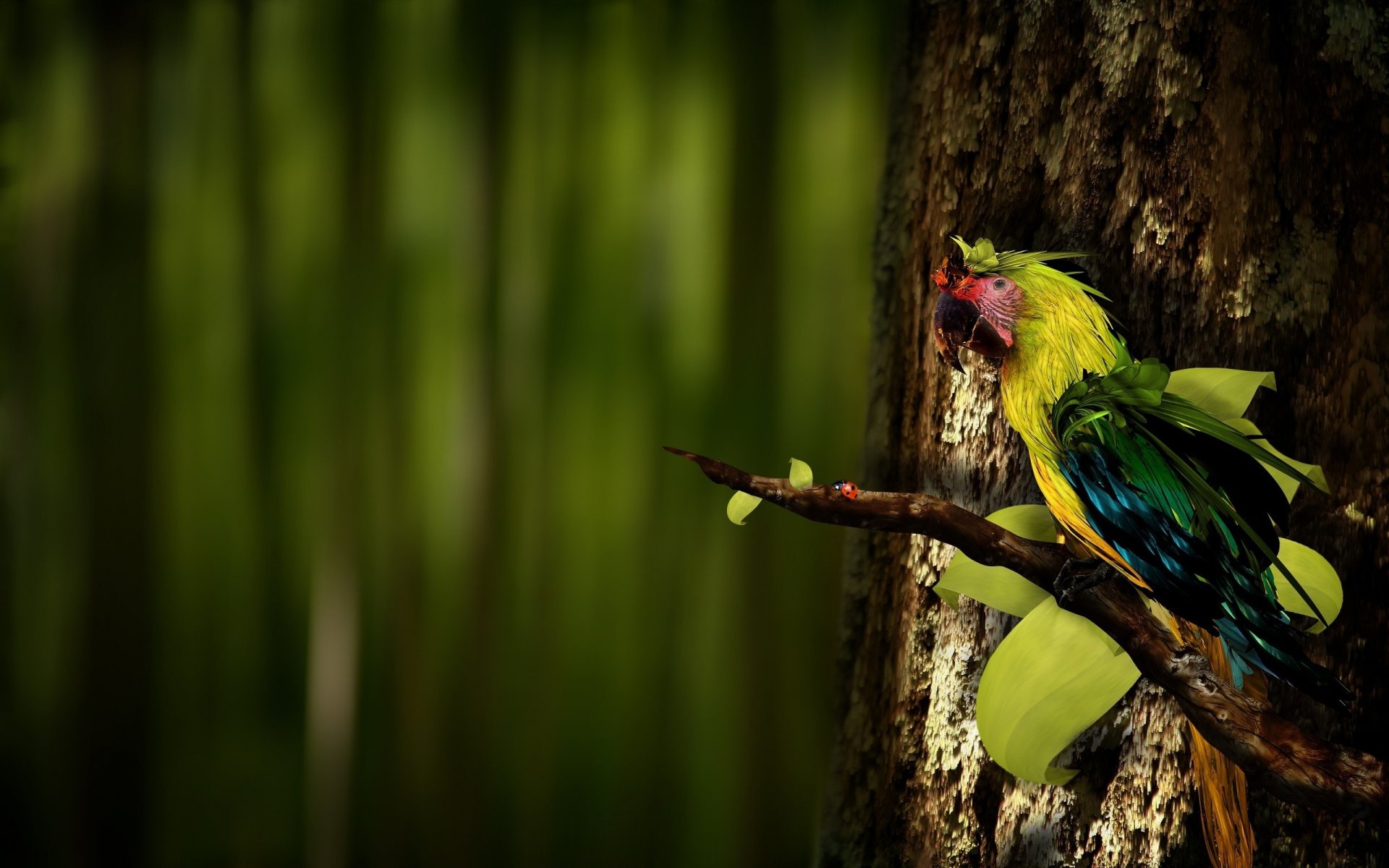 parrot branch colored feathers beak birds feathered creativing creative