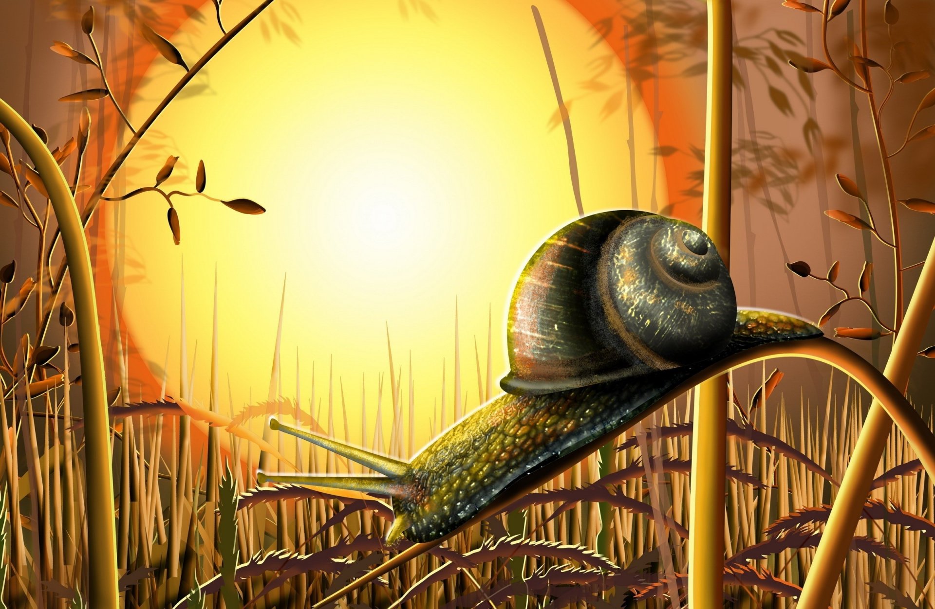 risunka snail the sun grass nature leaves branch drawings anime