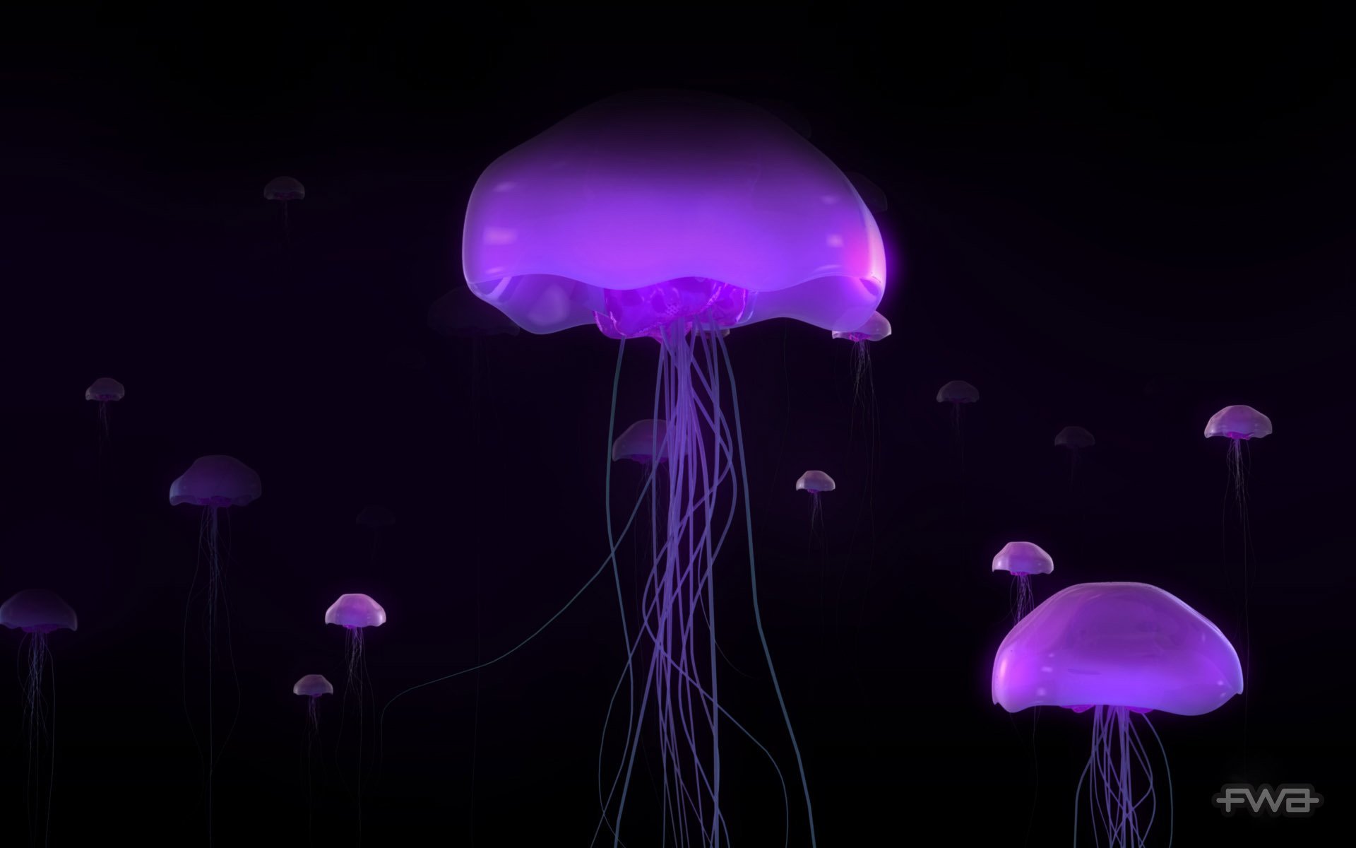 lilac color jellyfish under water waterfowl