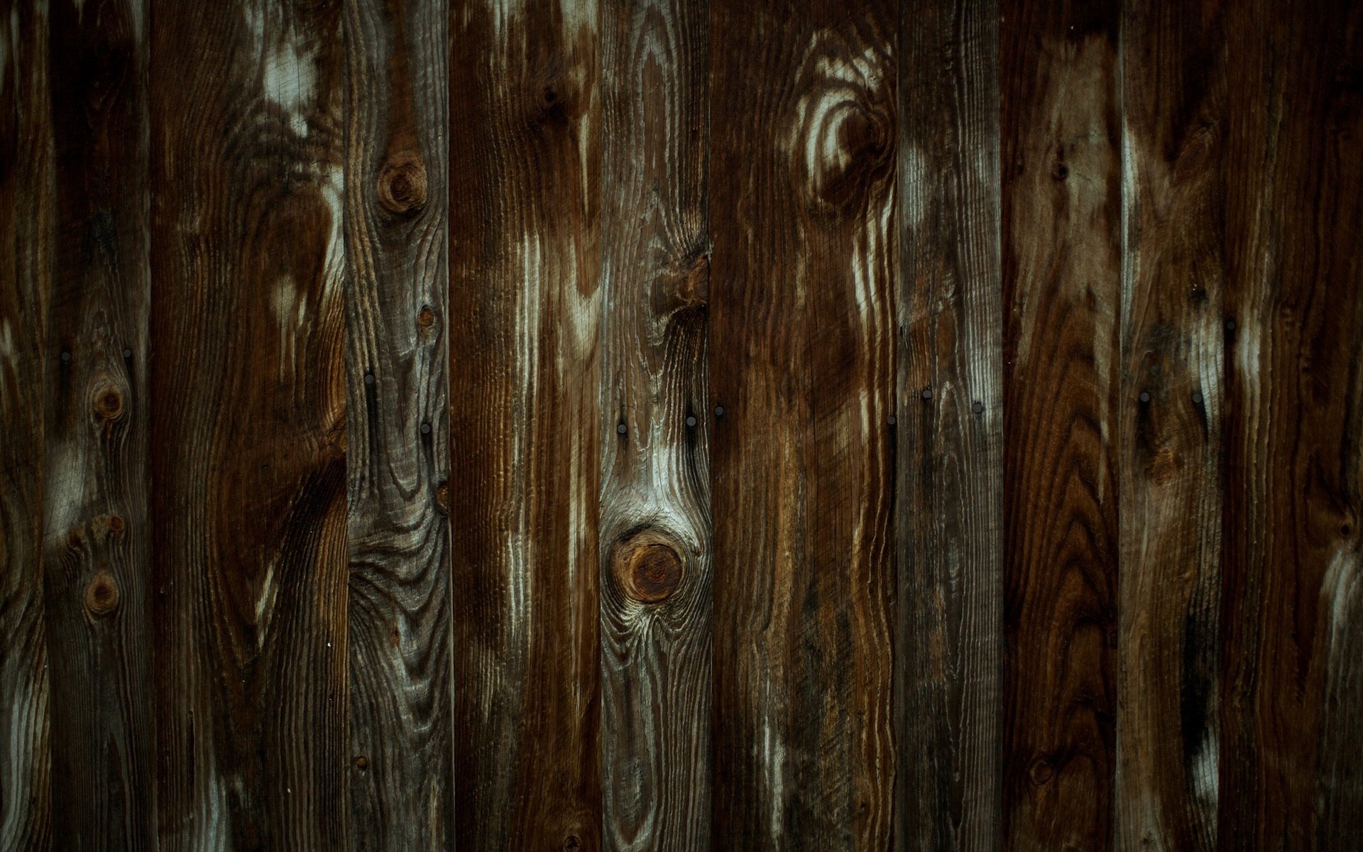 tree board wall texture