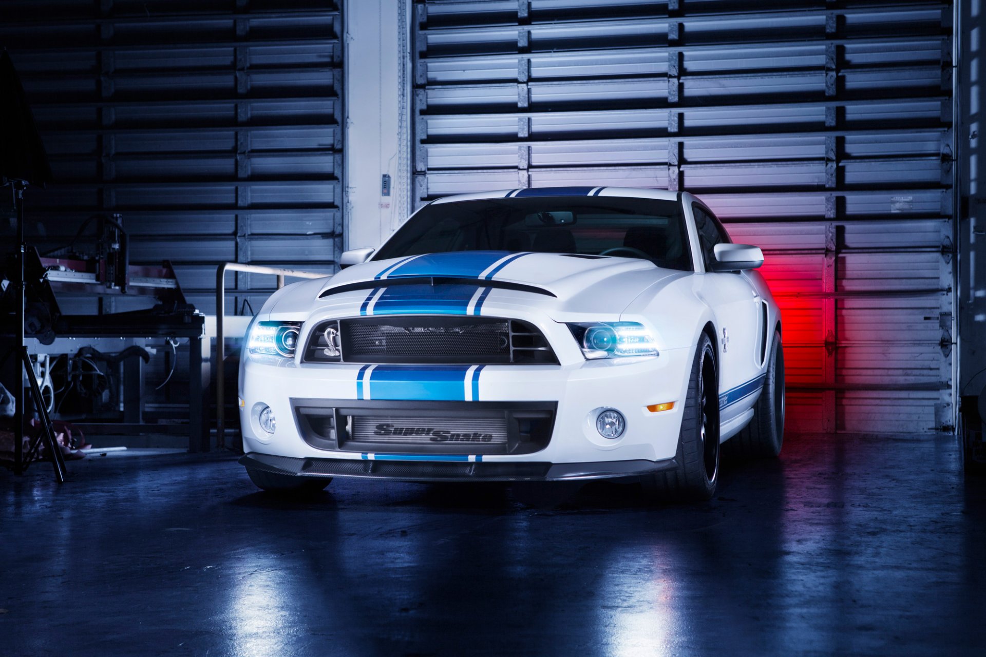 ford mustang shelby gt500 super wąż biały przód