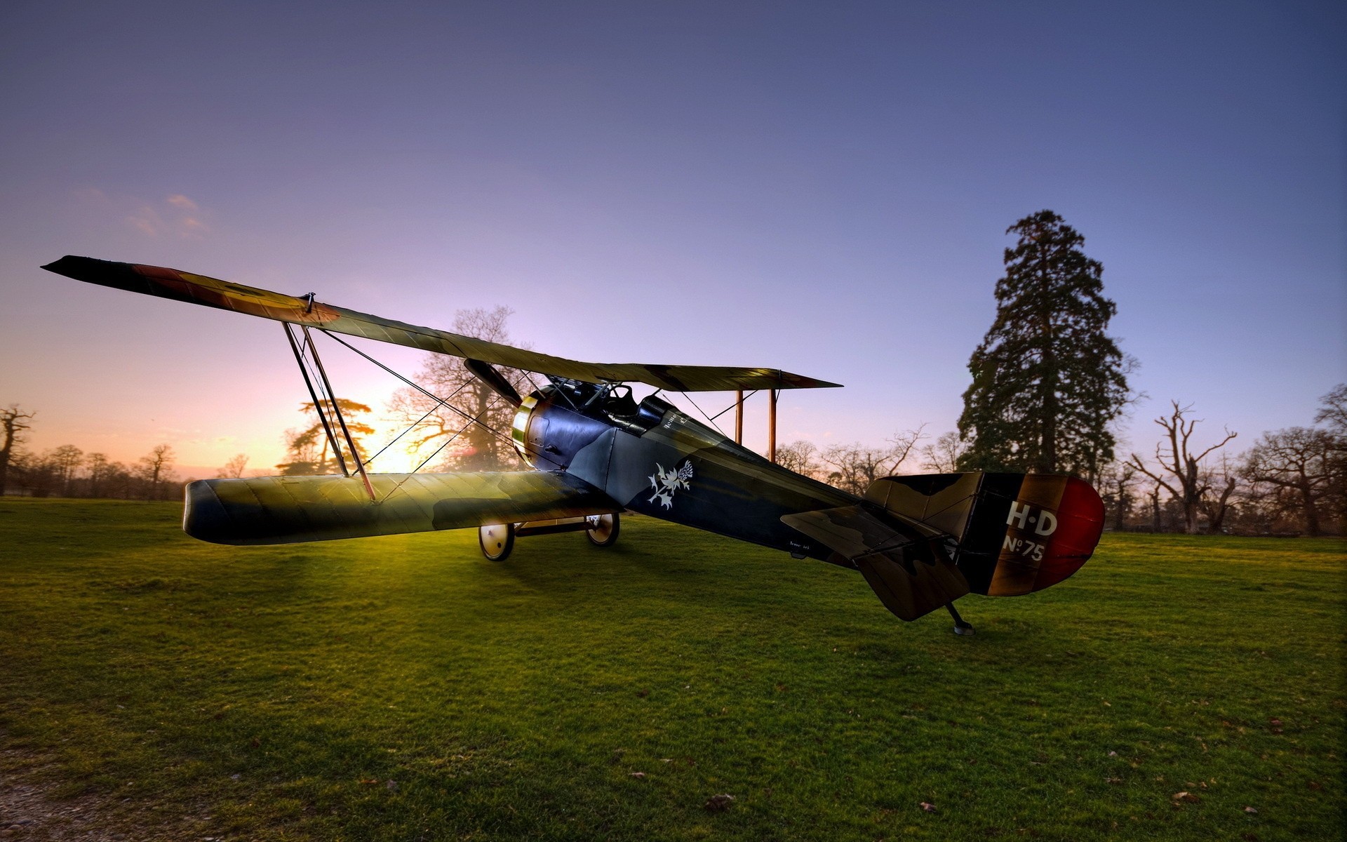 flugzeug morgen luftfahrt