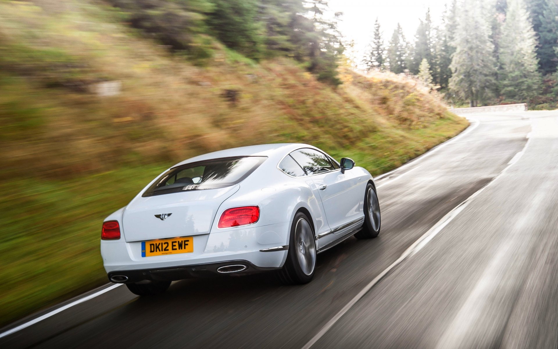 bentley continental gt blanco coche carretera en movimiento bosque